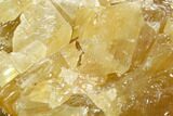 Free-Standing Golden Calcite Disiplay - Chihuahua, Mexico #129472-3